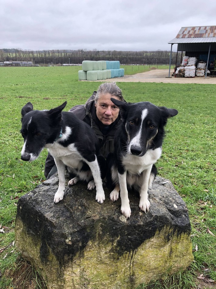 Mes chiens et moi